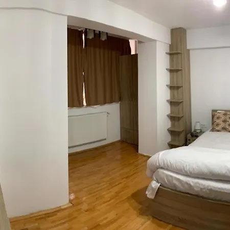 Amedeea Apartament Timișoara