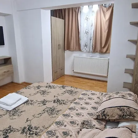 Appartement Amedeea Timişoara